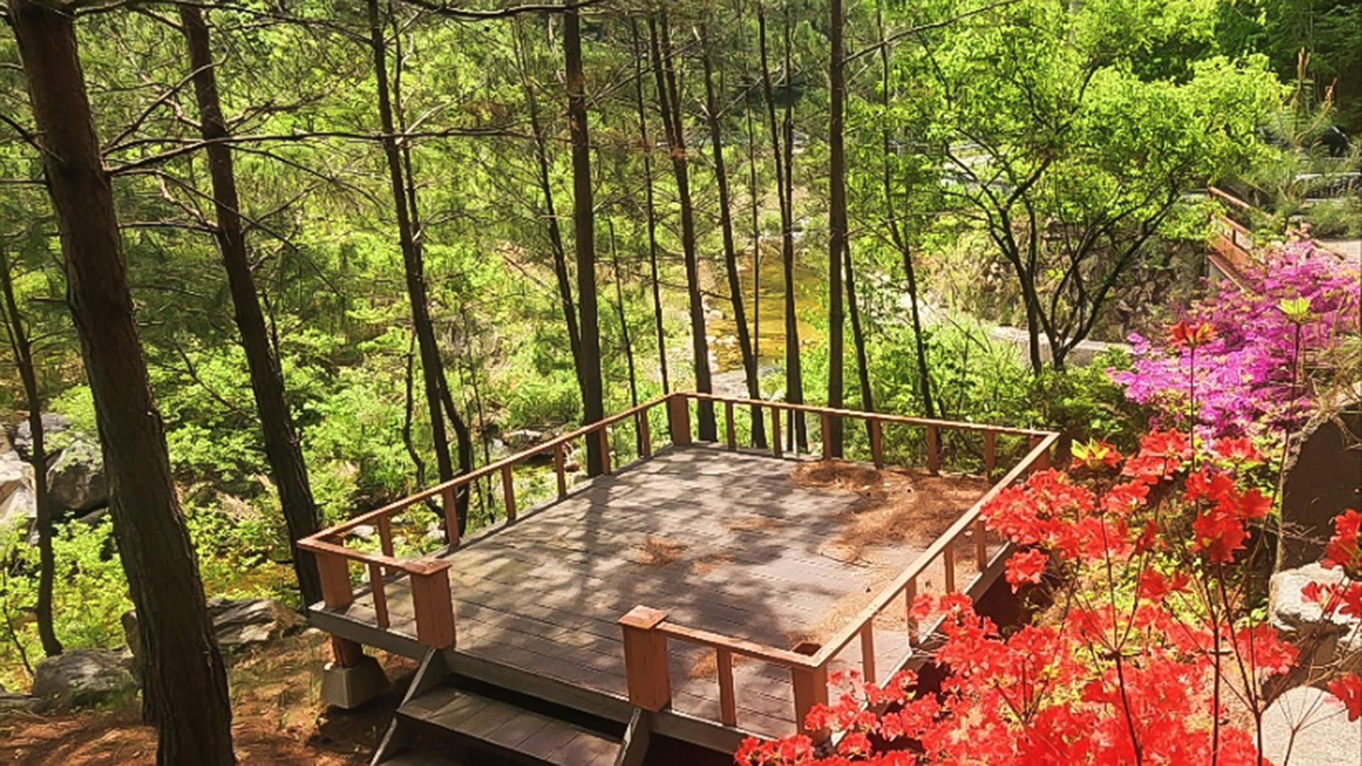 봉화 숲속 펜션 /