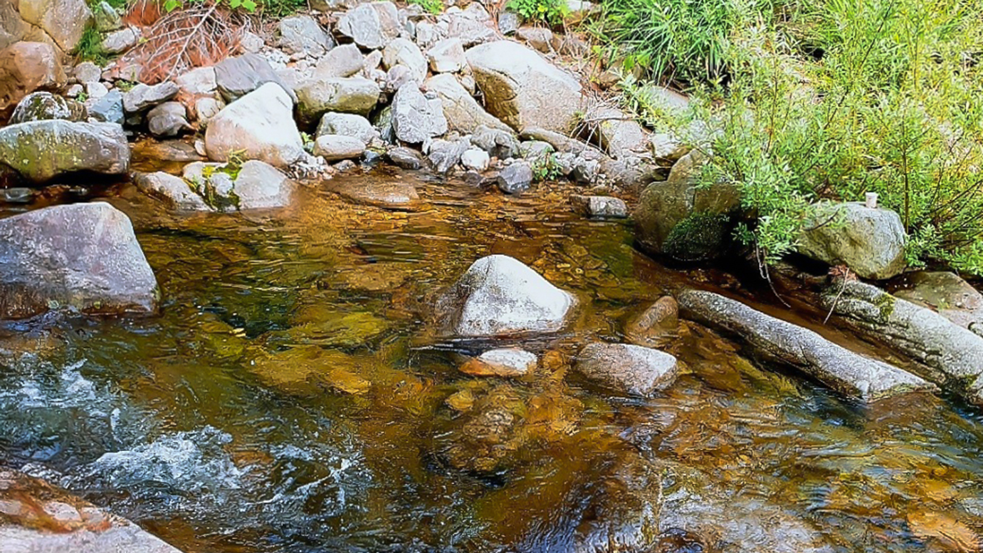 봉화 숲속 펜션 /