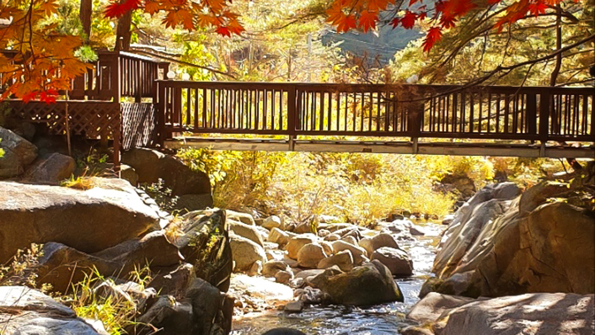 봉화 숲속 펜션 /