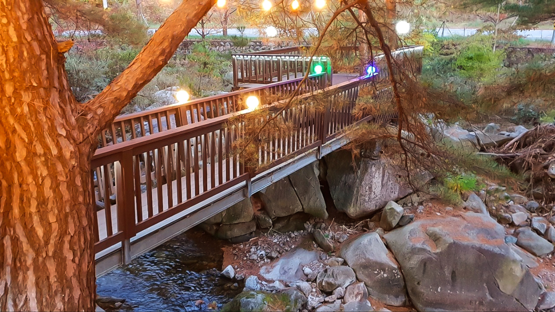 봉화 숲속 펜션 /