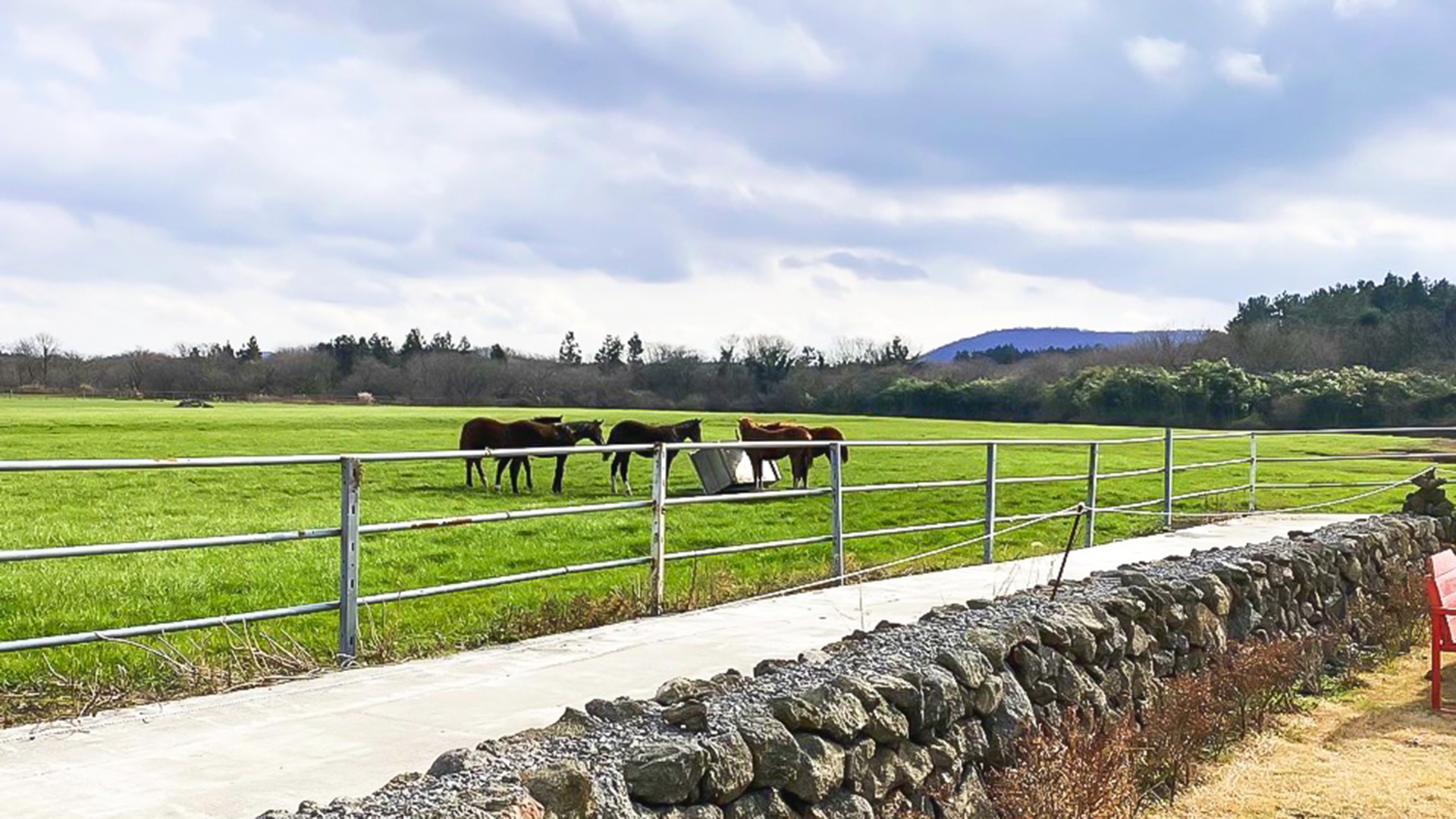 제주스럼 펜션 /