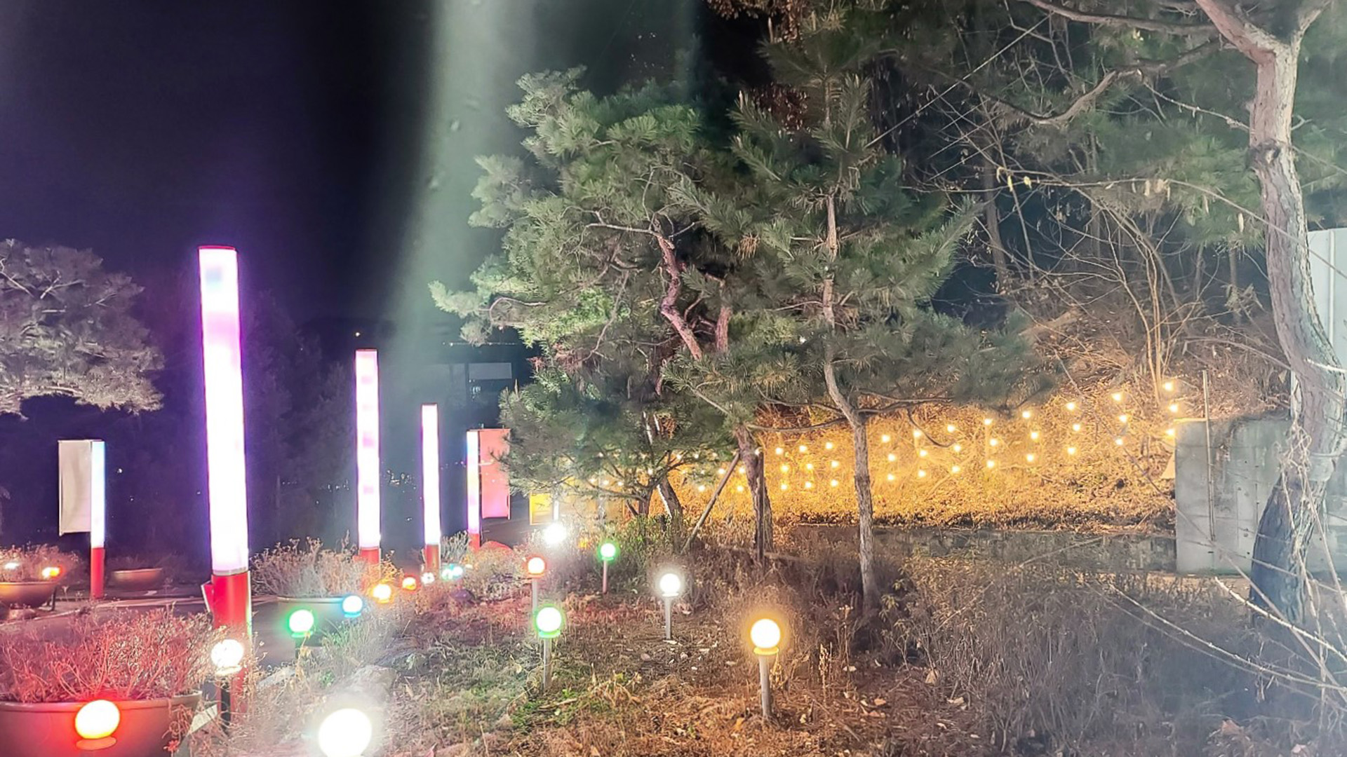 파주 숲속의궁전 펜션 / 