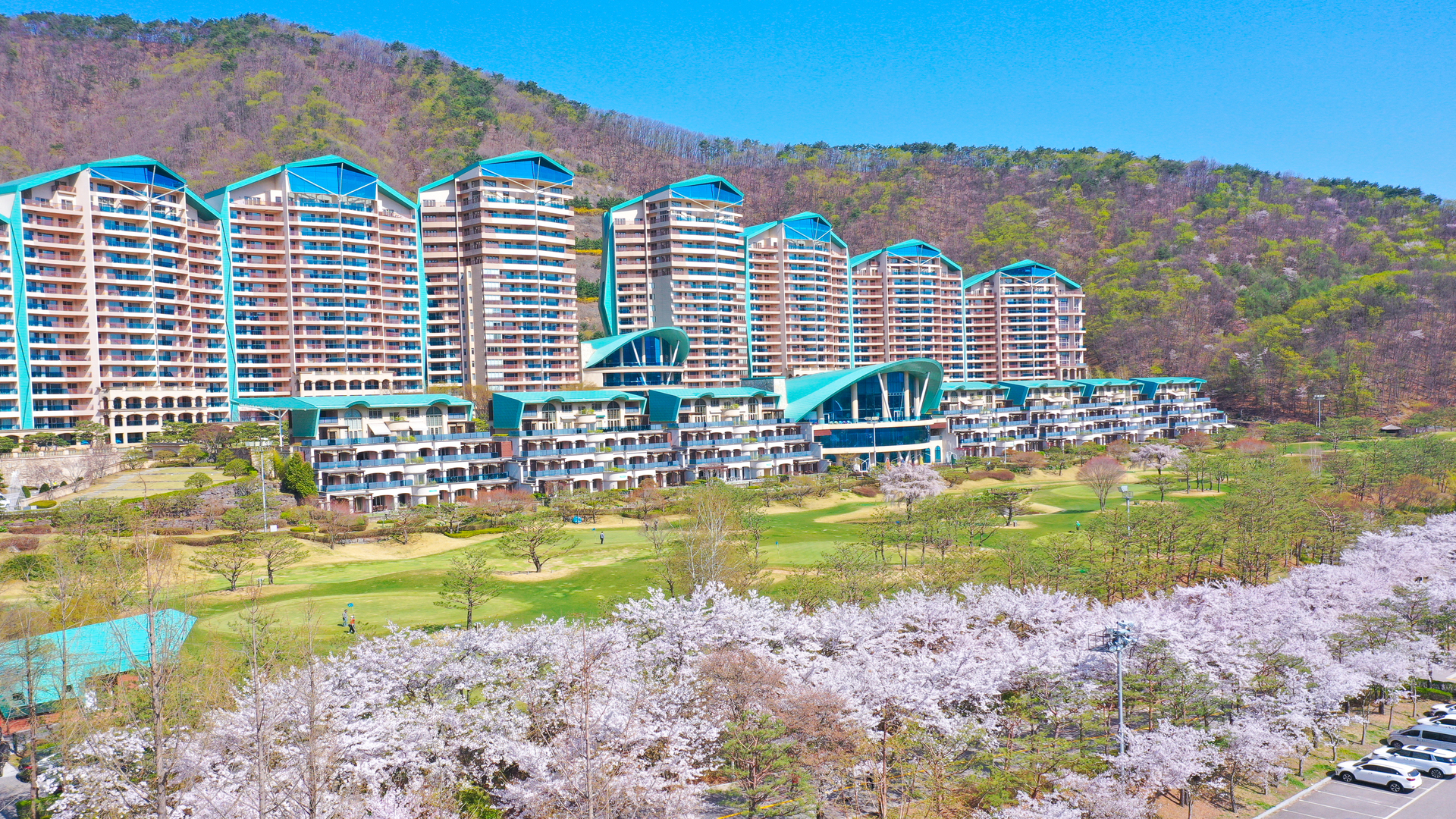 소노펠리체 비발디파크  / 