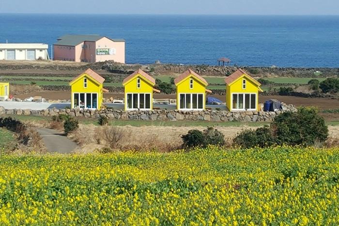 제주 우도해바라기펜션 / 