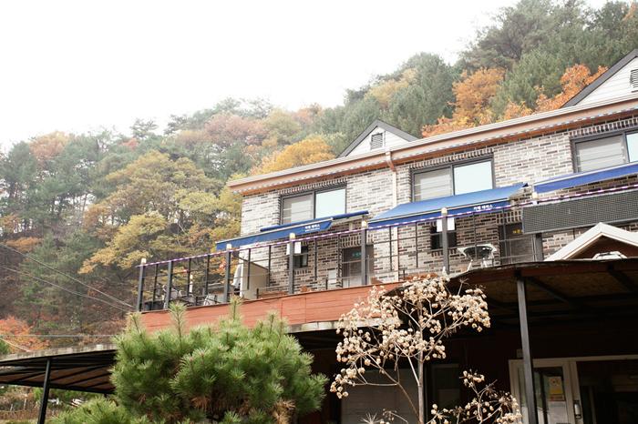 홍천 테라스 카페&펜션 / 