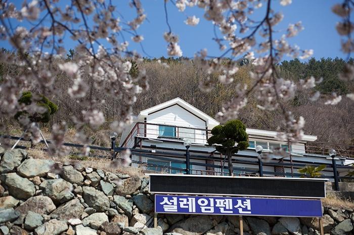 남해 설레임펜션 / 