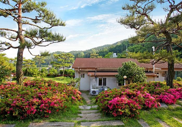 장성 실로암펜션 / 