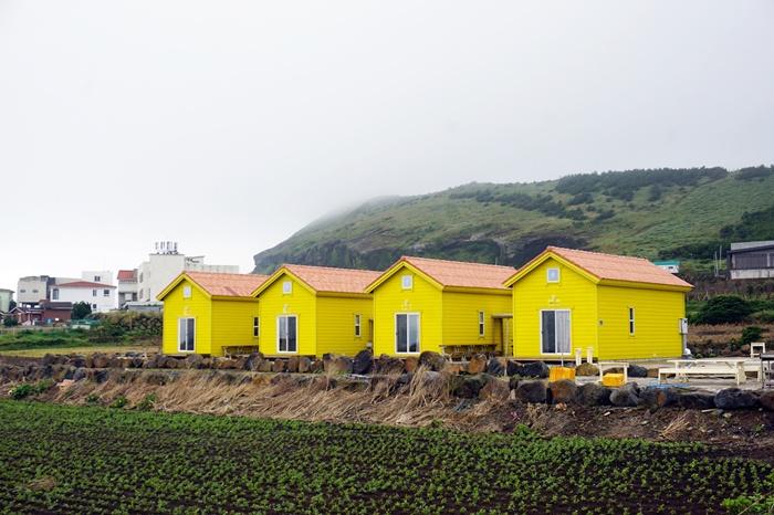 제주 우도해바라기펜션 / 