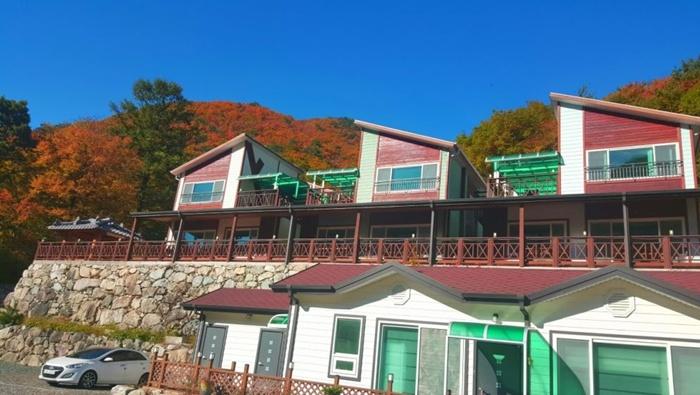 울산 포그니펜션 / 