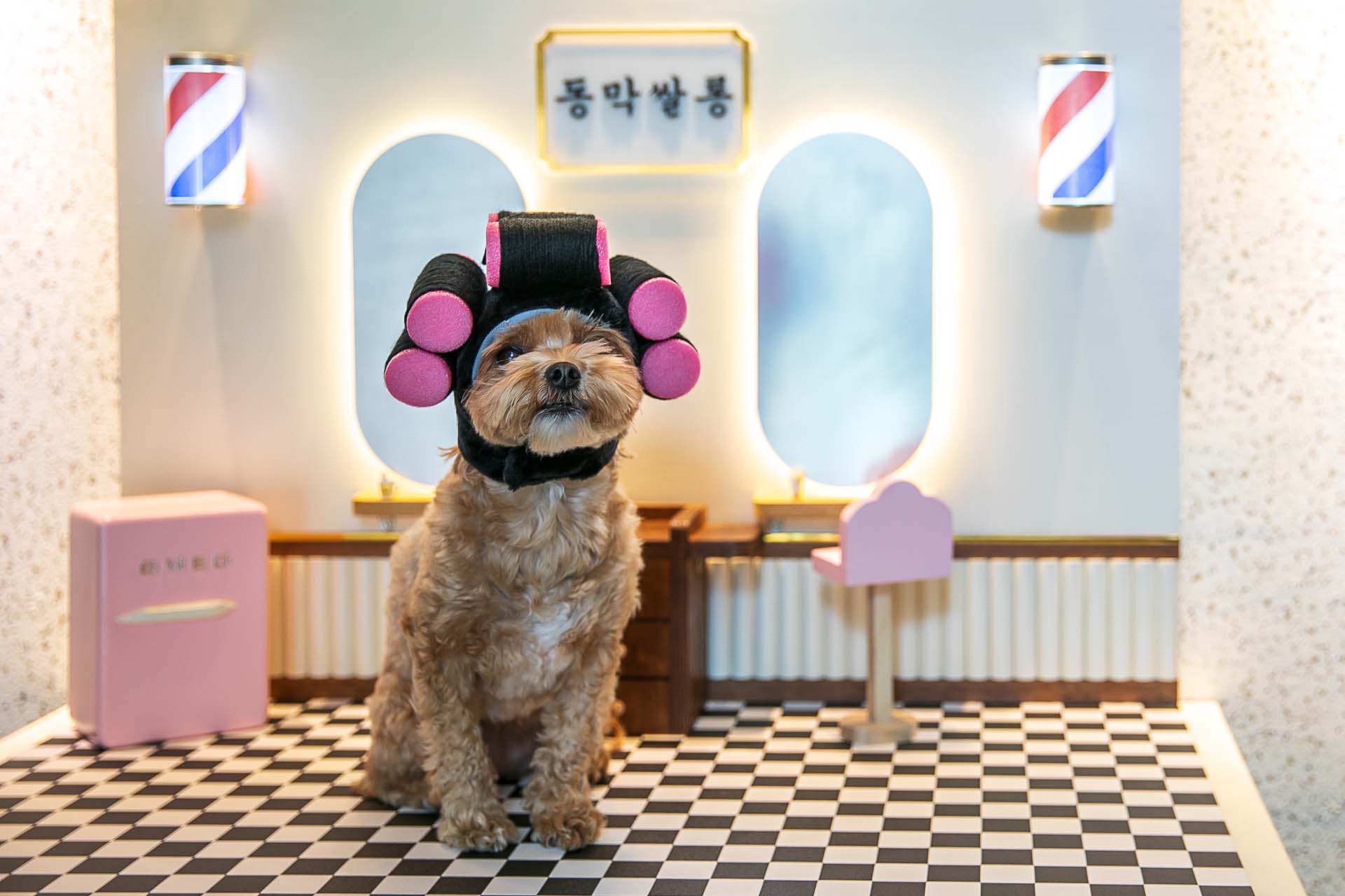 강화 동막여관 펜션 / 