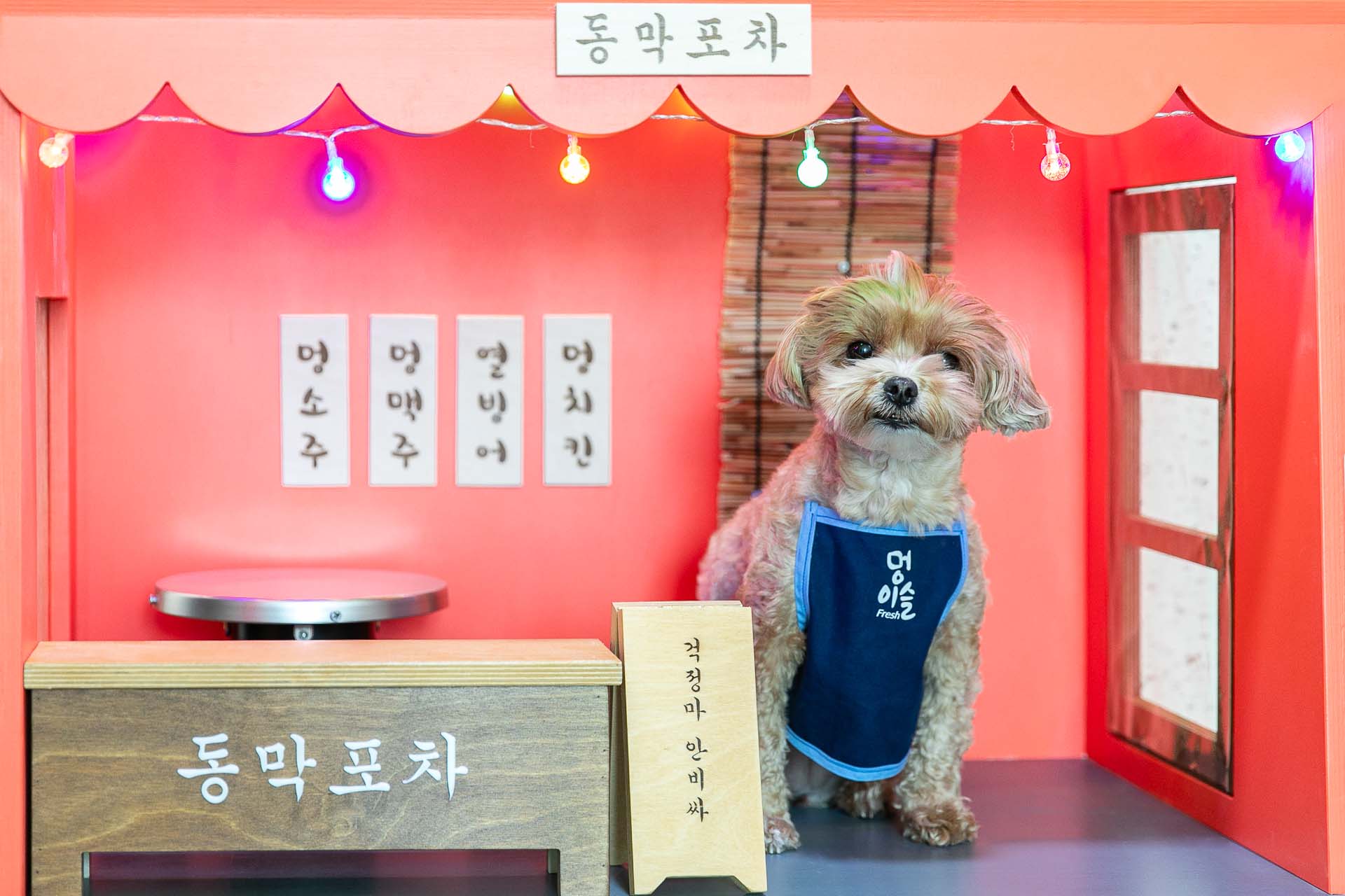 강화 동막여관 펜션 / 