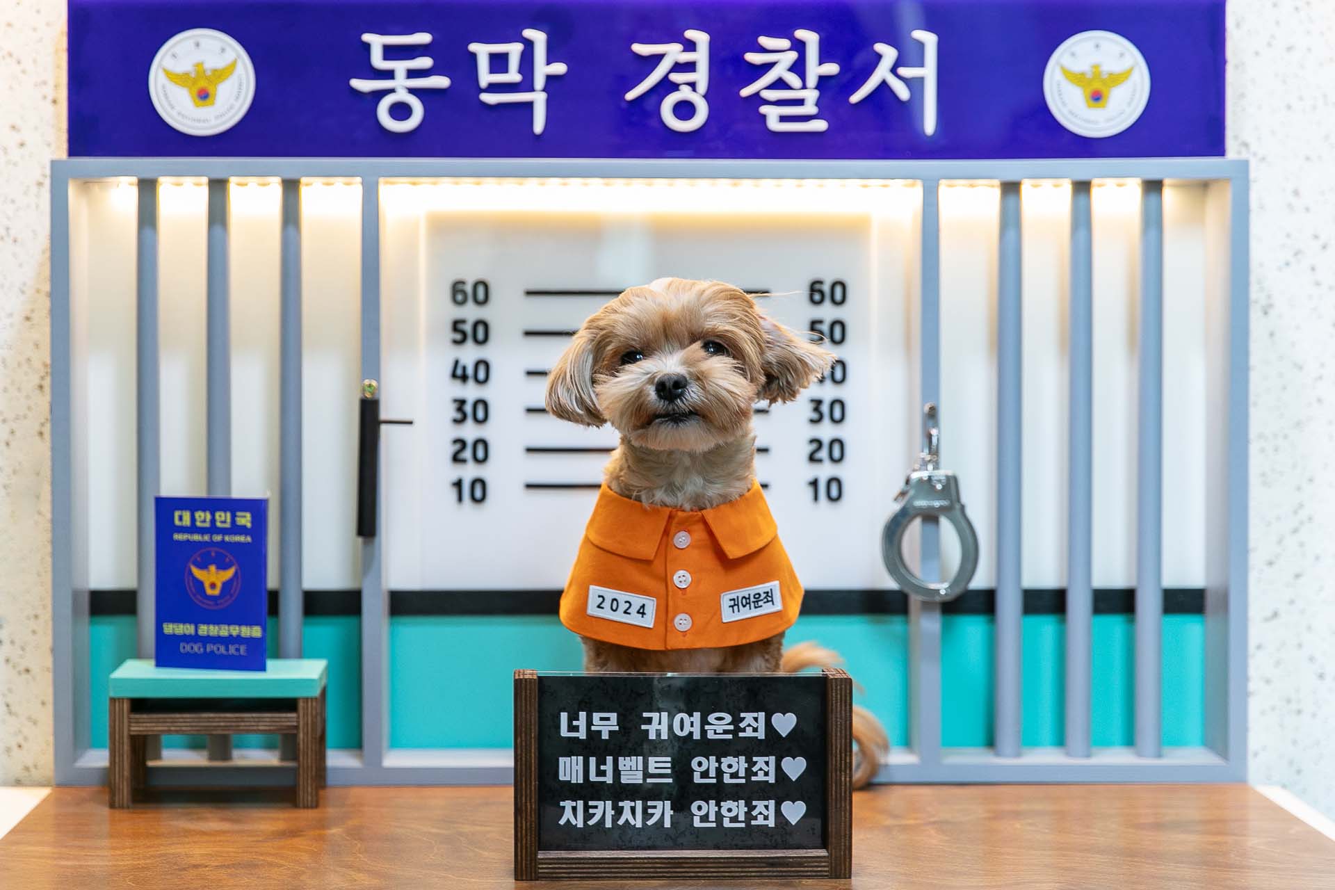 강화 동막여관 펜션 / 