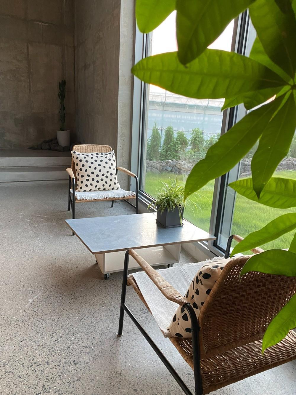 제주 저지안트레 /