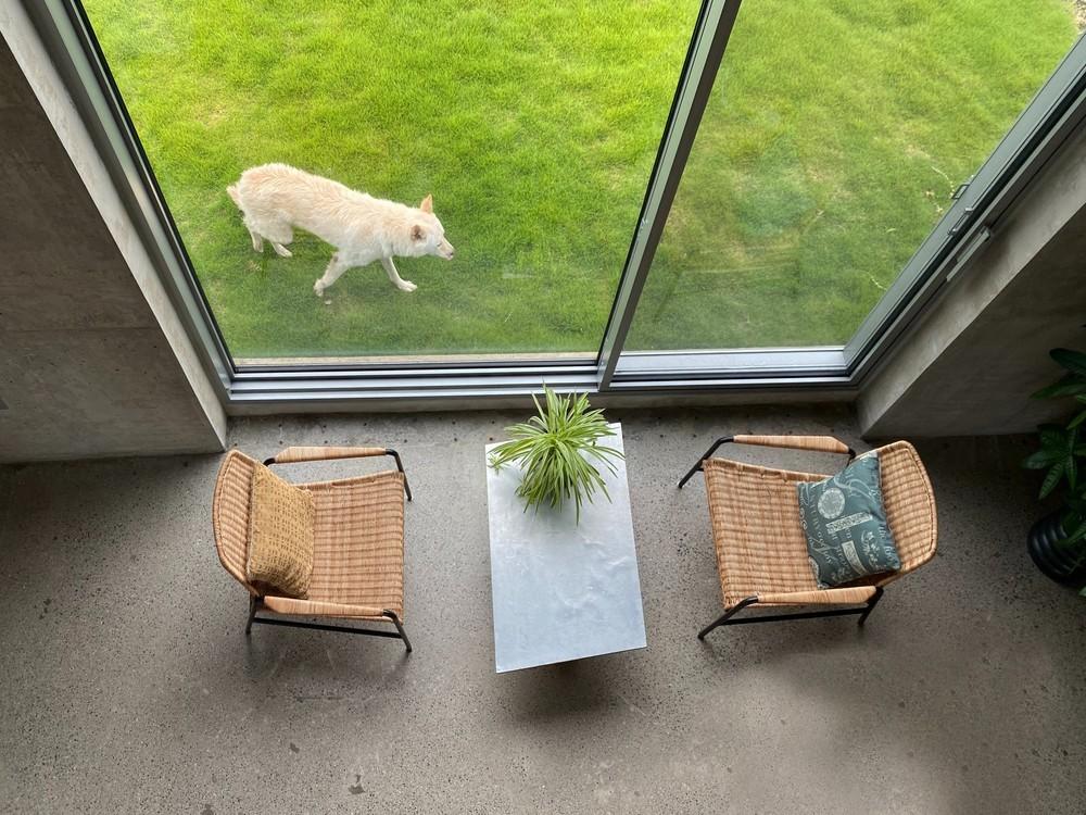 제주 저지안트레 /