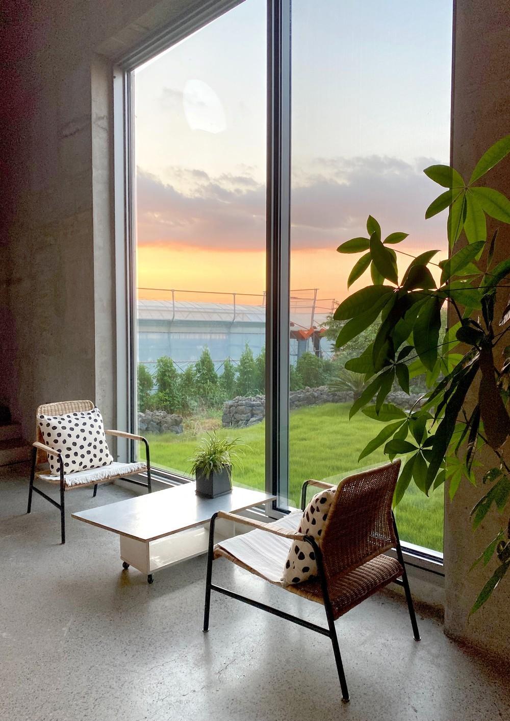 제주 저지안트레 /