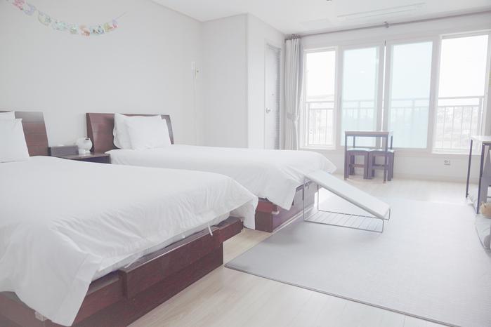제주 제주 엔젤하우스 애견전문펜션 / 