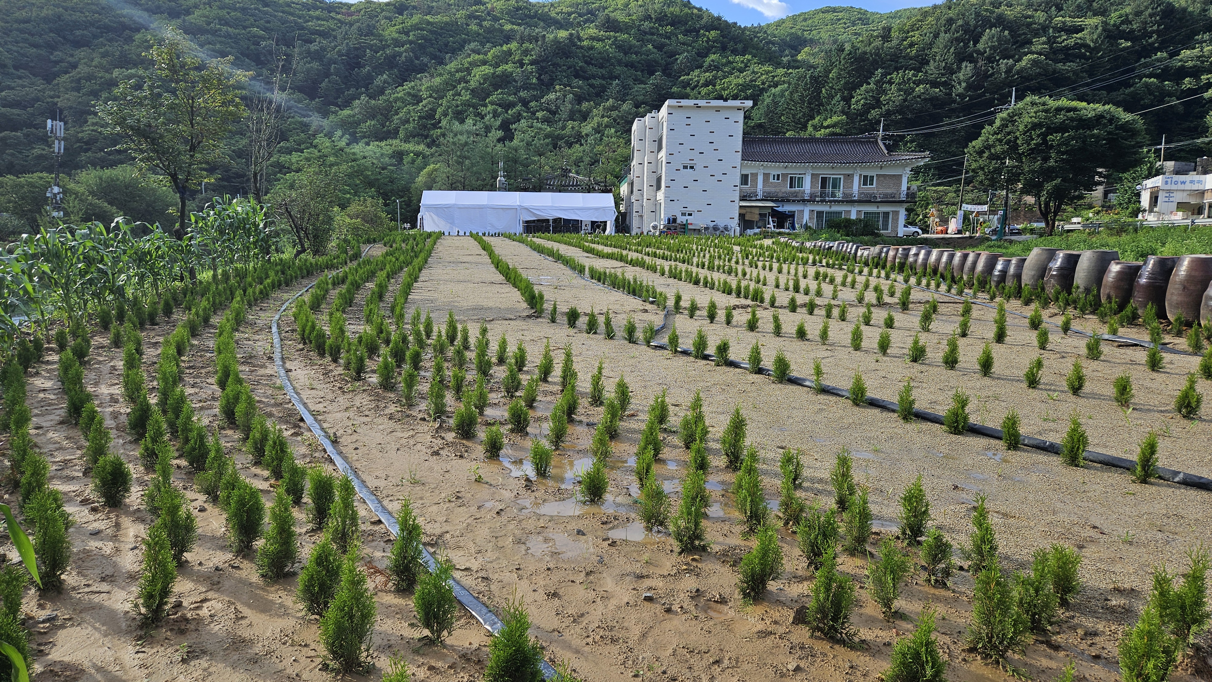 광주 펜션 앤 남한산성 아트홀 / 
