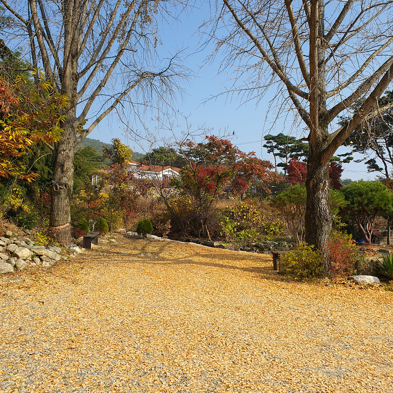 예산 아뜰리에7펜션 /