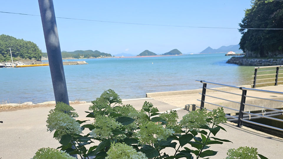 고성 느티나무 요정들 펜션 / 