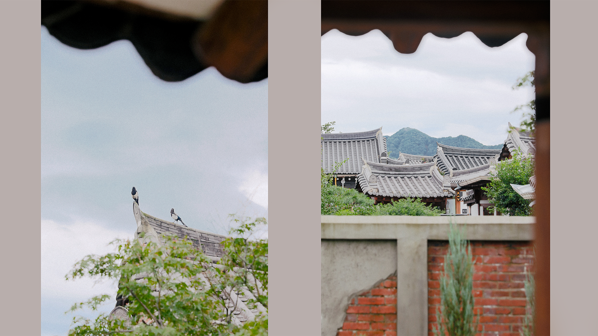 전주 한옥스테이 까치 / 