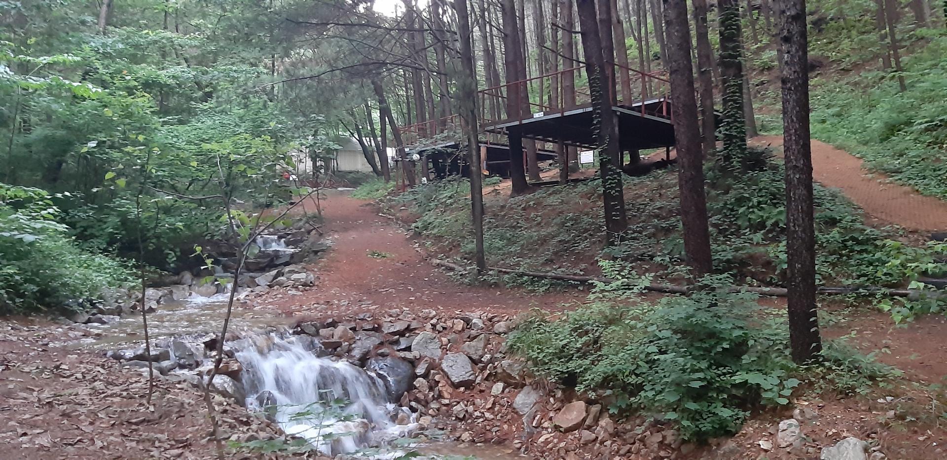 인제 하늘그린캠프 관광농원 캠핑장 / 