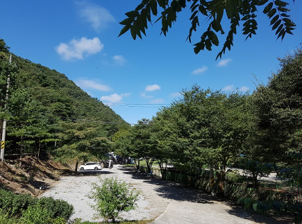 논산 벌곡 산속캠핑장 / 