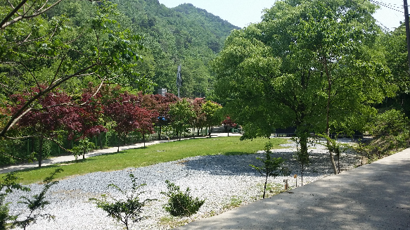 논산 벌곡 산속캠핑장 / 