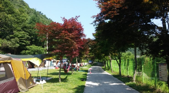 논산 벌곡 산속캠핑장 / 