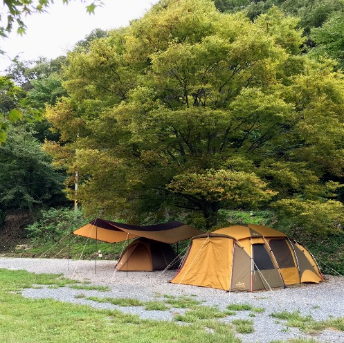 논산 벌곡 산속캠핑장 / 