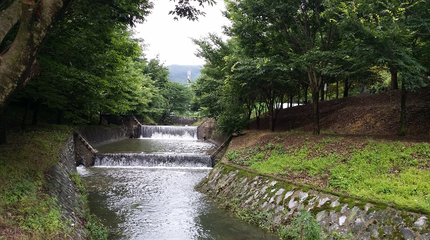 논산 벌곡 산속캠핑장 / 