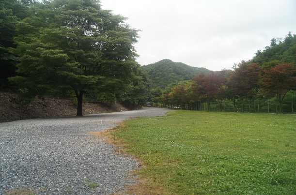 논산 벌곡 산속캠핑장 / 