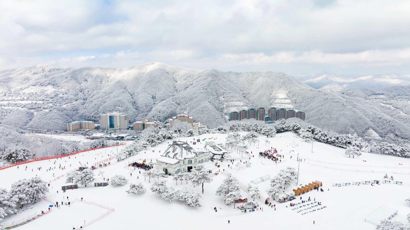 소노벨 비발디파크 D / 