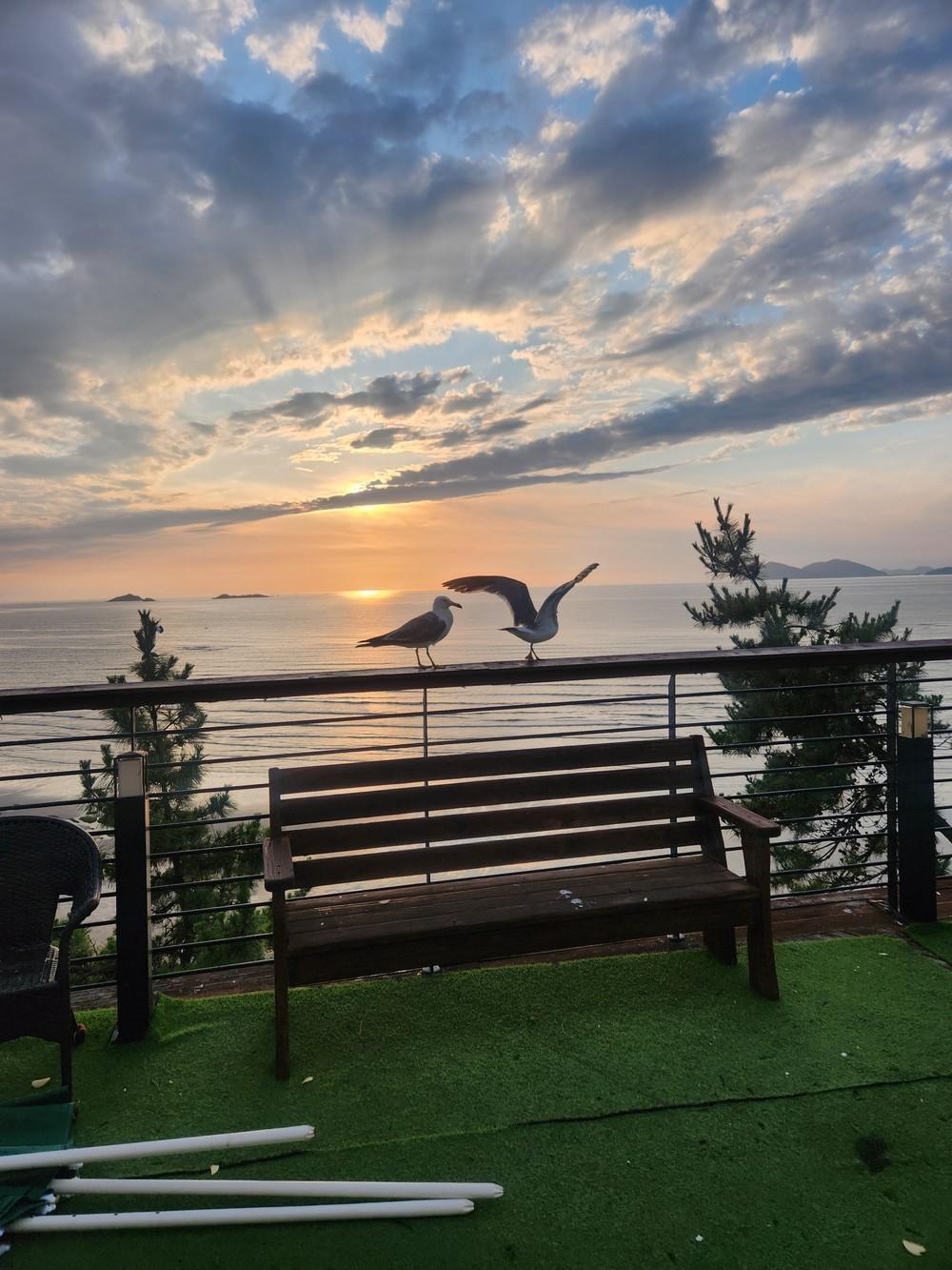 부안 스테이리조트펜션 / 