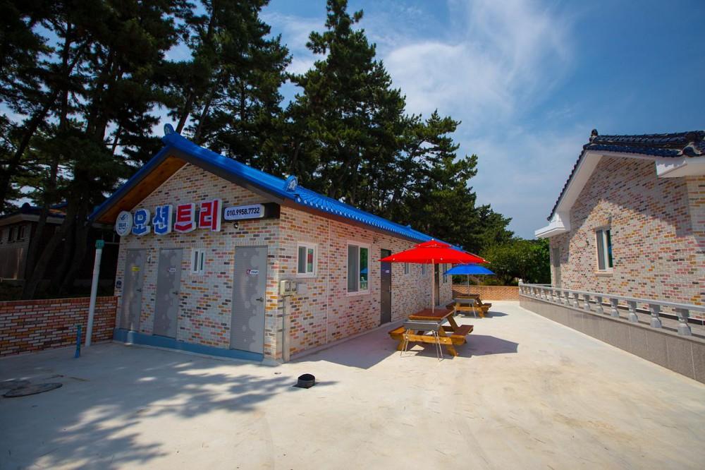 고흥 오션트리펜션 / 