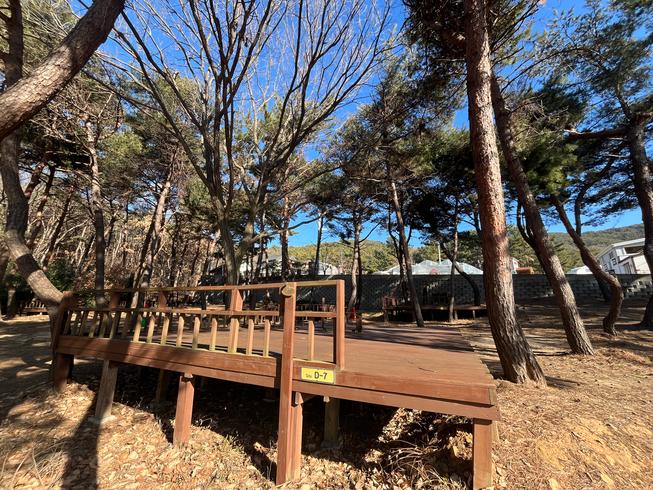 영흥도 명성가족캠핑촌 / 