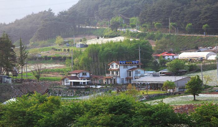 정선 장수펜션 / 