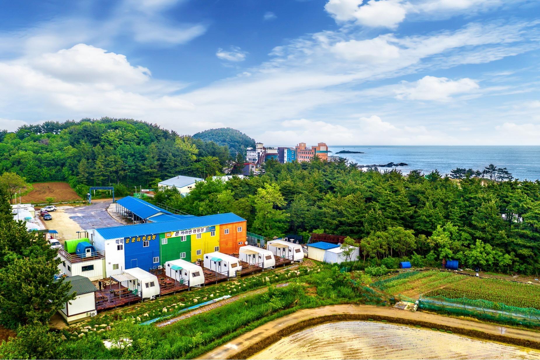 고성 쭌 애견동반 캠핑 카라반 펜션 / 
