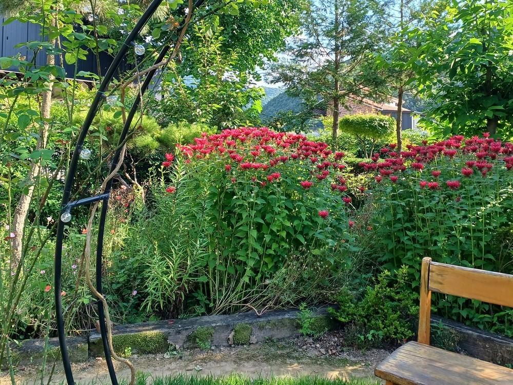 완주 독채펜션 정원채 /