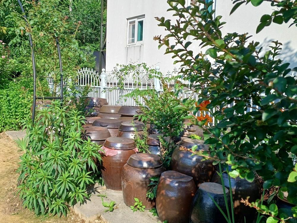 완주 독채펜션 정원채 /