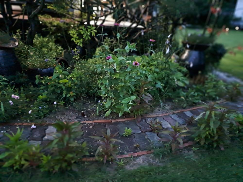 완주 독채펜션 정원채 /