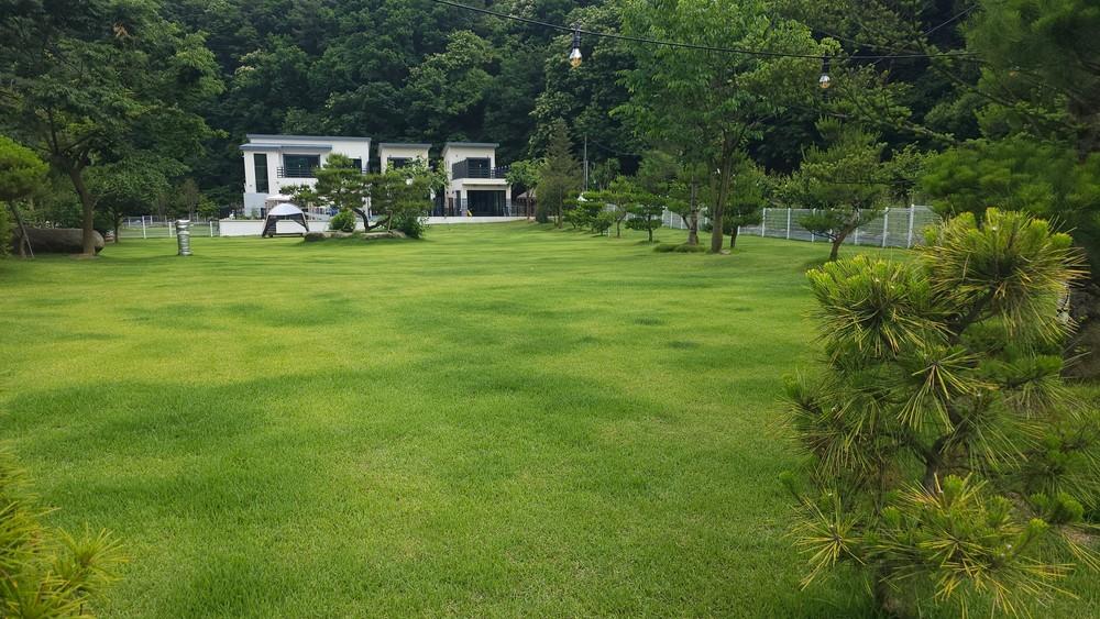 원주 귀래630 애견풀빌라 / 