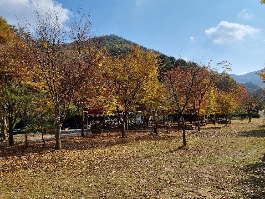 영월 법흥계곡 꿈엔들캠프 캠핑&글램핑 / 