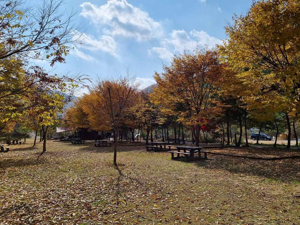 영월 법흥계곡 꿈엔들캠프 캠핑&글램핑 / 