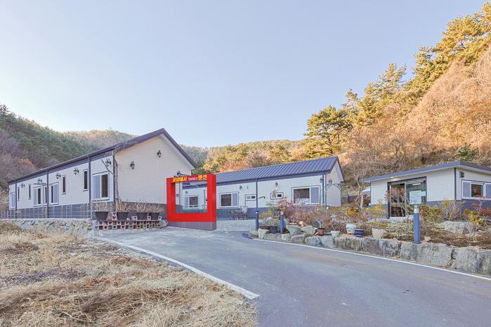 고성 다이노 꽃밭에서 / 