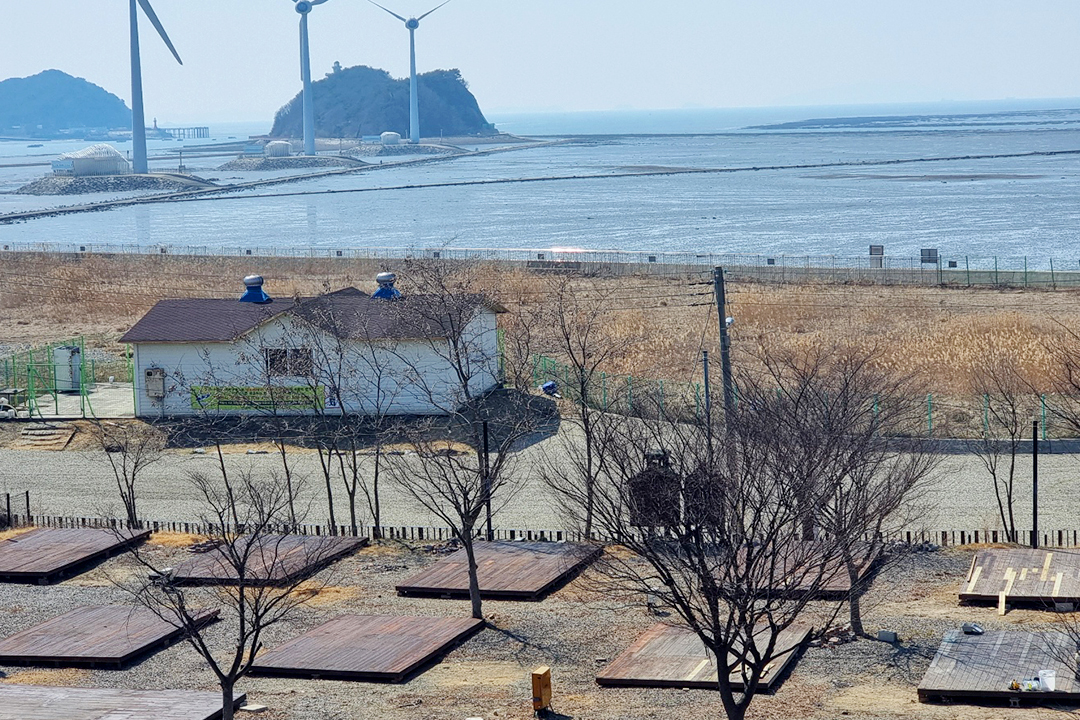 안산탄도항노을캠핑장 / 