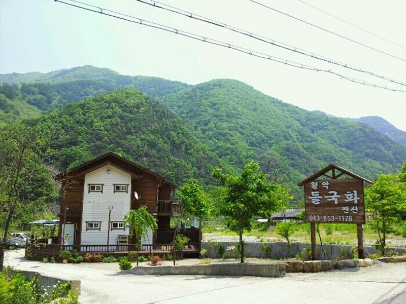 제천 월악들국화펜션 / 