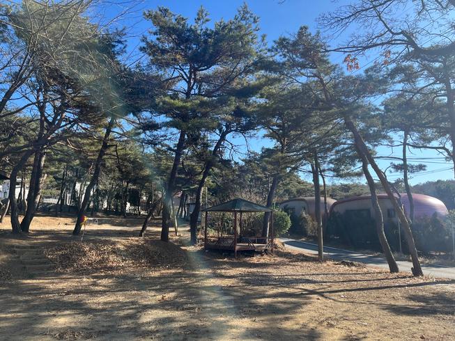 영흥도 명성가족캠핑촌 / 