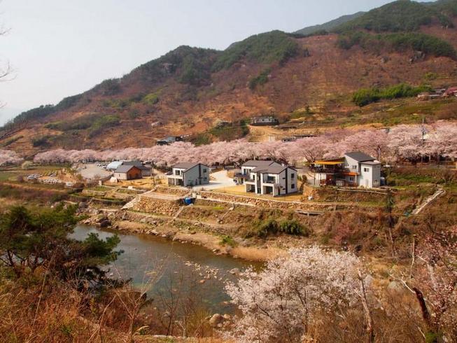 하동 화개밸리펜션 / 