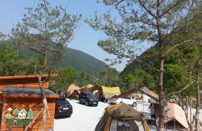 영주 소백산 비로오토파크캠핑&펜션 / 