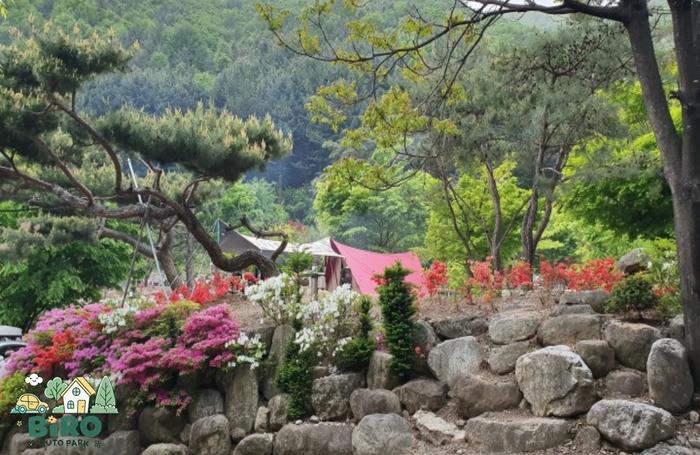 영주 소백산 비로오토파크캠핑&펜션 / 